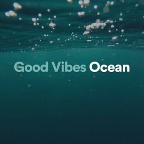 Download track Practiced Ocean Ocean In HD