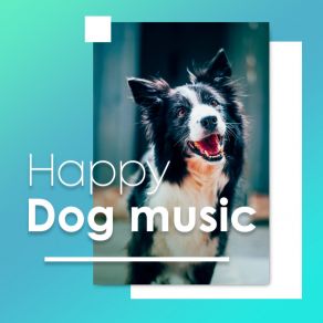 Download track Rain Moods Dog Music Dreams