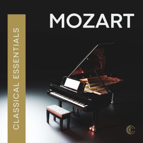 Download track Mozart: Symphony No. 1 In E-Flat Major, K. 16: I. Allegro Molto Charles Mackerras