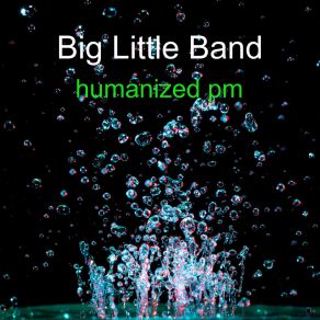 Download track Stand Up To Be Counted Big Little Band