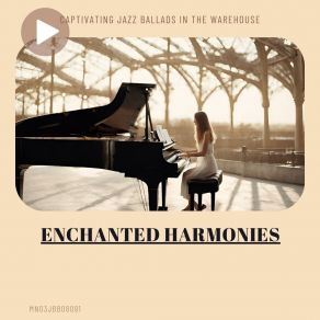 Download track Musical Raindrops: Soulful Solo Piano Ballads Willow Movements