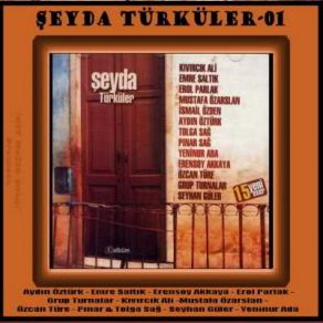 Download track Zeytin Yaprağı Yeşil Çeþitli SanatçýlarGrup Turnalar