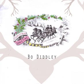 Download track Bo's Vacation Bo Diddley