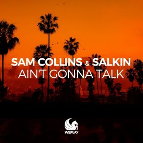 Download track Ain't Gonna Talk (Extended Mix) Salkin