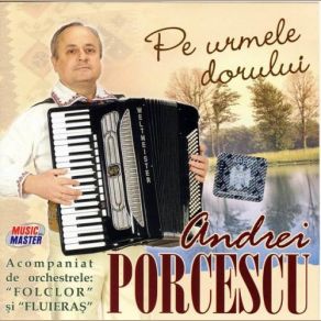 Download track Hora De La Crama Andrei Porcescu