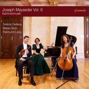 Download track Piano Trio No. 2 In A-Flat Major, Op. 52: II. Poco Adagio Raimund Lissy, Srebra Gelleva, Maria Grün, Maria Grün