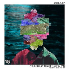 Download track The Ship Principles Of Flight