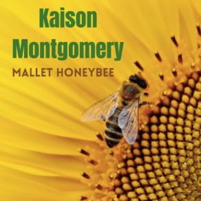 Download track The Pageant Basil Kaison Montgomery