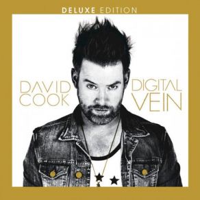 Download track Home Movies (Over Your Shoulder) David Cook