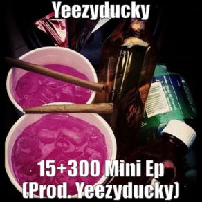 Download track 300 Freestyle Yeezyducky