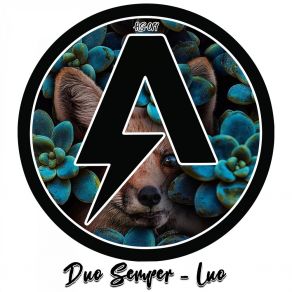 Download track Luo (Alborythme Remix) Duo Semper