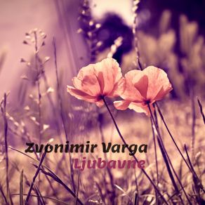 Download track Nakon Svega ZVONIMIR VARGA