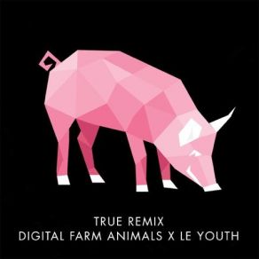 Download track True (Le Youth Radio Edit) Digital Farm Animals