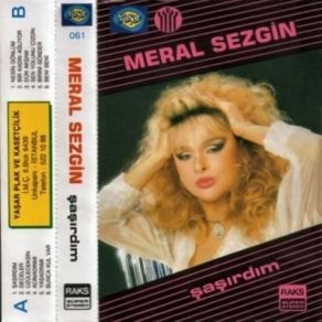 Download track Nesin Gönlüm Meral Sezgin