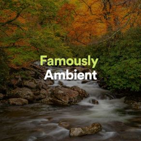 Download track Famously Ambient, Pt. 11 Meditation Music Therapy