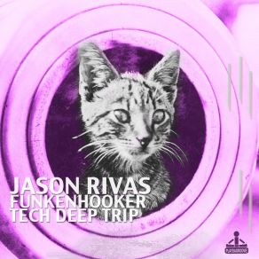 Download track More Funk, Please (Dub Mix) Jason Rivas