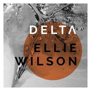 Download track Delta (Jay Chakravorty Remix) Ellie Wilson