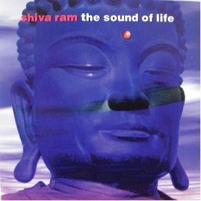 Download track Flying With Birds Shiva Ram