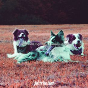 Download track Background For Cute Puppies Music For Dogs Project