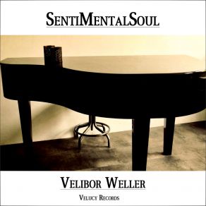 Download track Sweet, Shaking, Soulful, Sexy Thing Velibor Weller