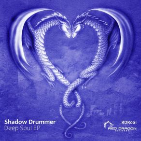 Download track Higher Entropy (Original Mix) Shadow Drummer