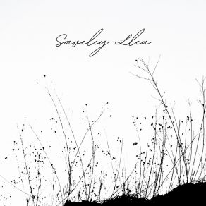 Download track Clear Sky Saveliy Lleu