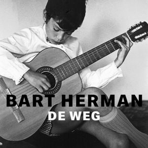 Download track Gele Rozen Bart Herman