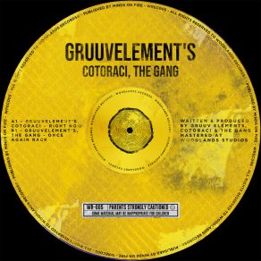 Download track Once Again Back GruuvElement'SThe Gang