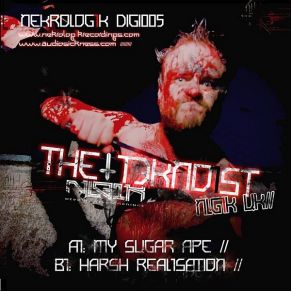 Download track Harsh Realisations The Teknoist