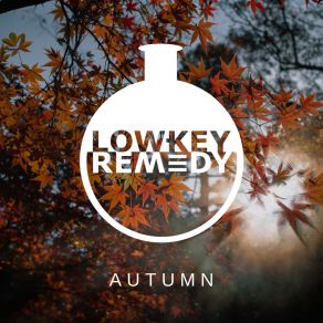 Download track Golden Hour Low-Key Remedy