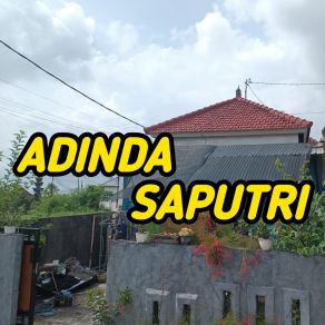 Download track This Is The Last One ADINDA SAPUTRI