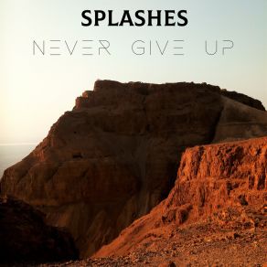 Download track Never Give Up (Vocal Mix) Splashes