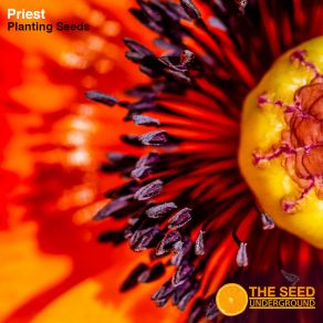 Download track Green Thumb Priest