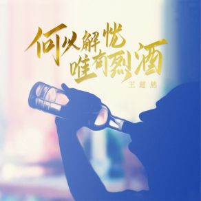 Download track 何以解忧 唯有烈酒 王超然