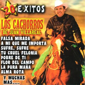 Download track Tienes Miedo Los Cachorros De Juan Villareal