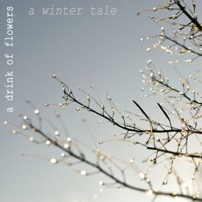 Download track A Winter Tale A Drink Of Flowers