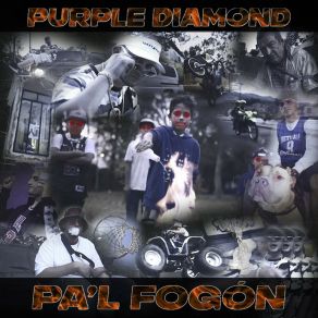 Download track Pa'l Fogón Purple Diamond