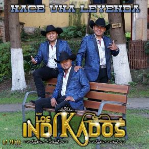 Download track Fijate Que Si Trío Los Indikados