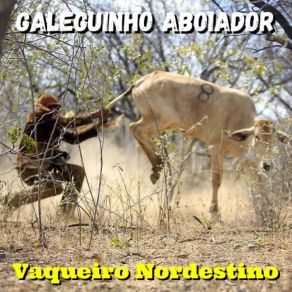 Download track Sem Deus Nada Sou Galeguinho Aboiador