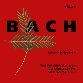 Download track Johannes-Passion BWV 245 31. Recitativo Und Neiget Das Haupt Stephan MacLeod, Gli Angeli Geneve