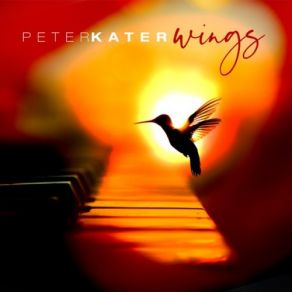 Download track Ravens Wings Peter Kater