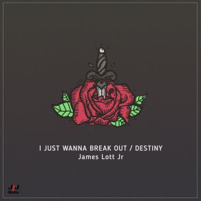 Download track Destiny James Lott Jr