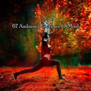 Download track Yoga Embrace Zen Meditate