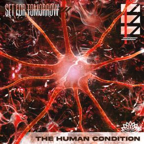 Download track The Human Condition Set For Tomorrow