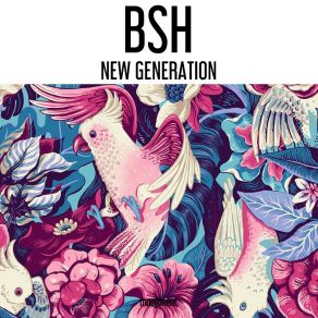 Download track Melogr Bsh