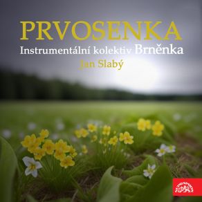 Download track Písnička Do Větru Jan Slabý