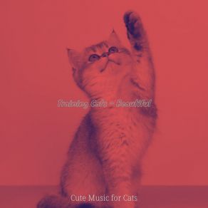 Download track Mellow (Relaxing Cats) Cute Music For Cats