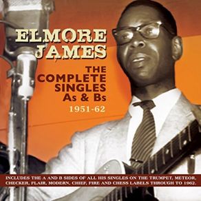 Download track The 12 Year Old Boy Elmore JamesThe Broomdusters