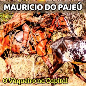 Download track Fazenda Marreca Mauricio Do Pajeú