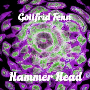 Download track Hammerhead (Original Mix) Gottfrid Fenn